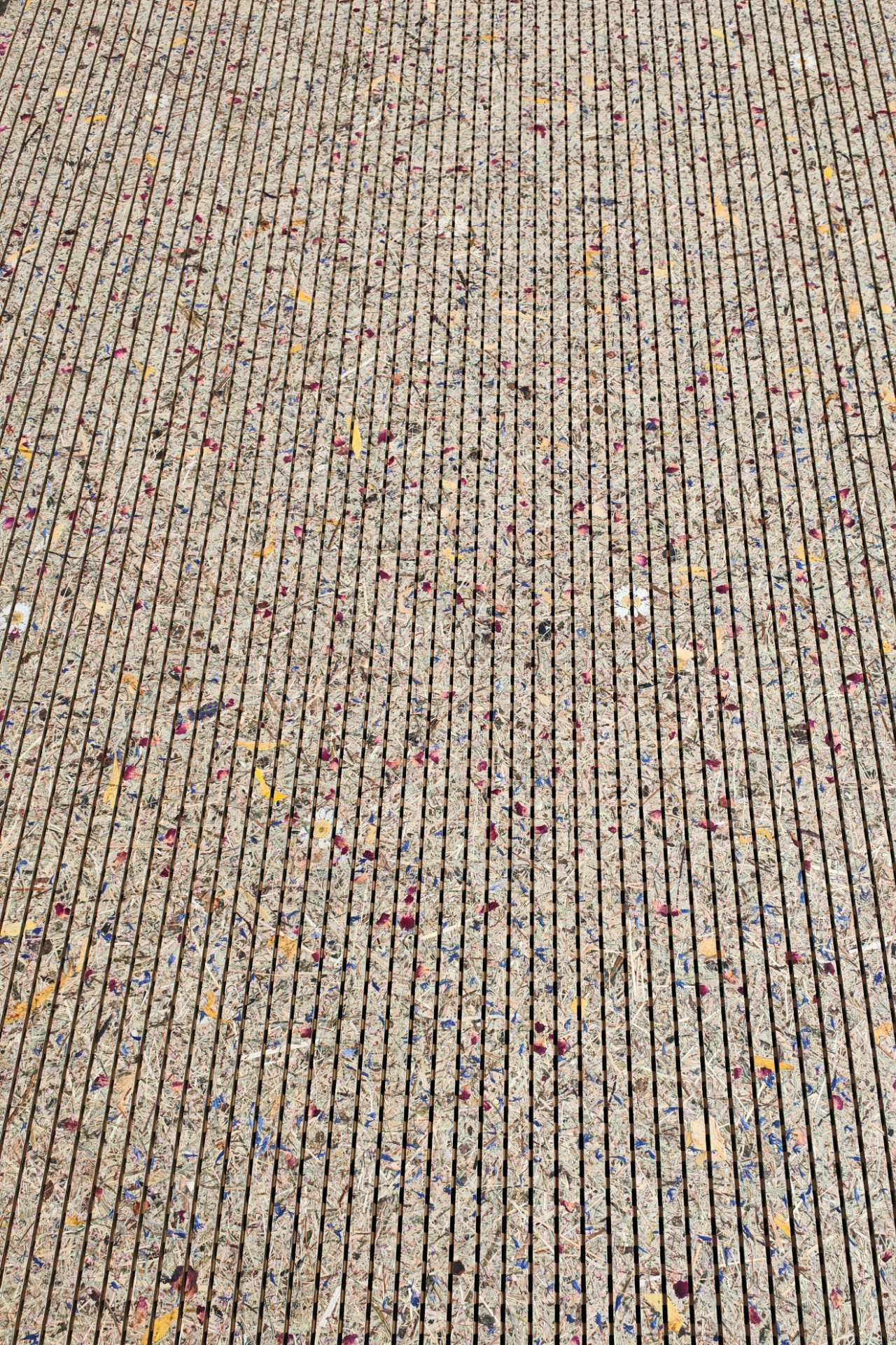 Infinity Panel - ALPINE MEADOW